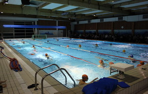 5874076682e4d_IMG7119.JPG