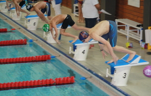 Le plongeon d'Enzo